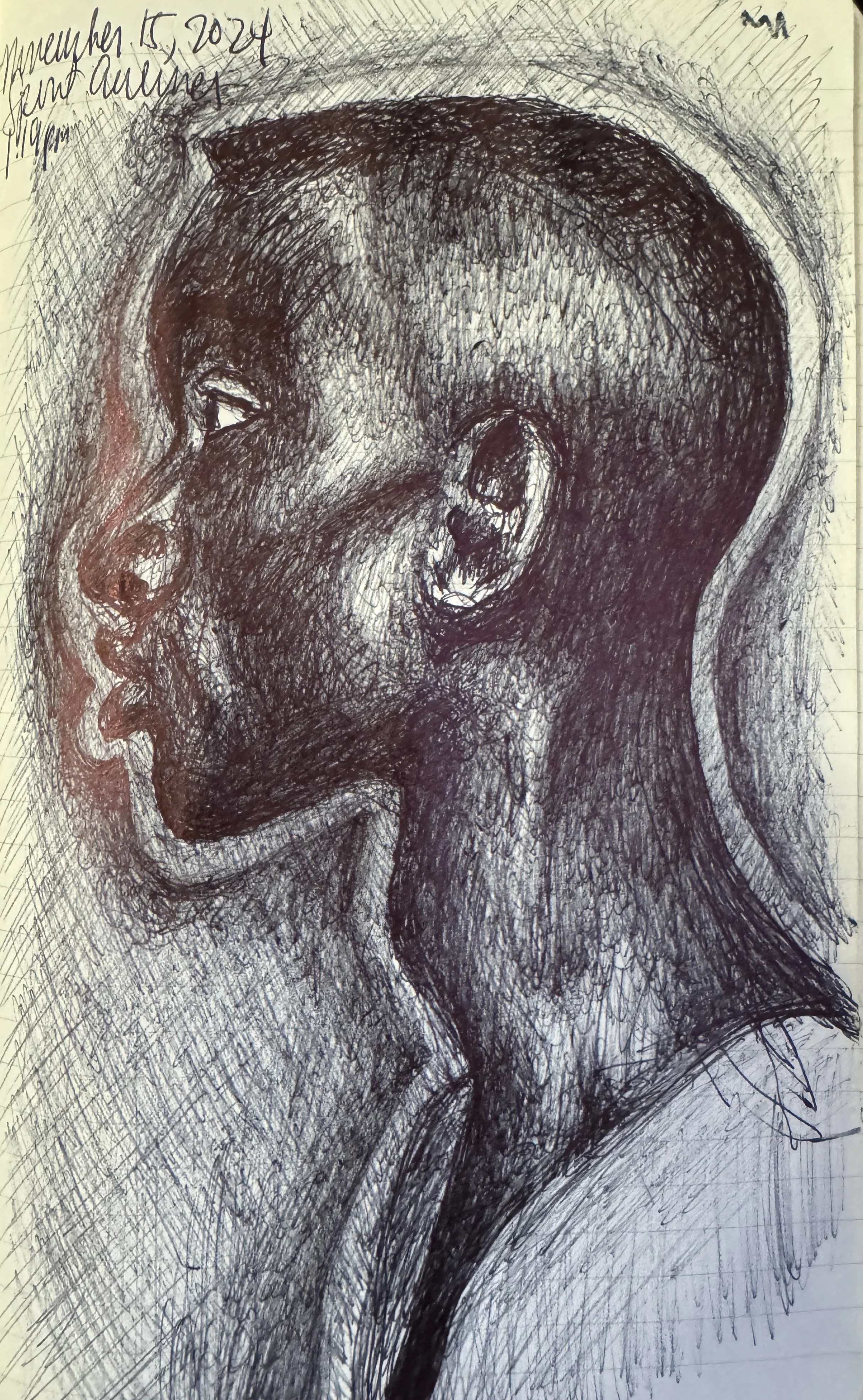 septum.jpg