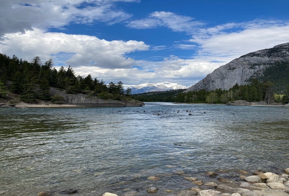 Leisure to Process Loss and Life and 2022 Prayers for Deck and Dock