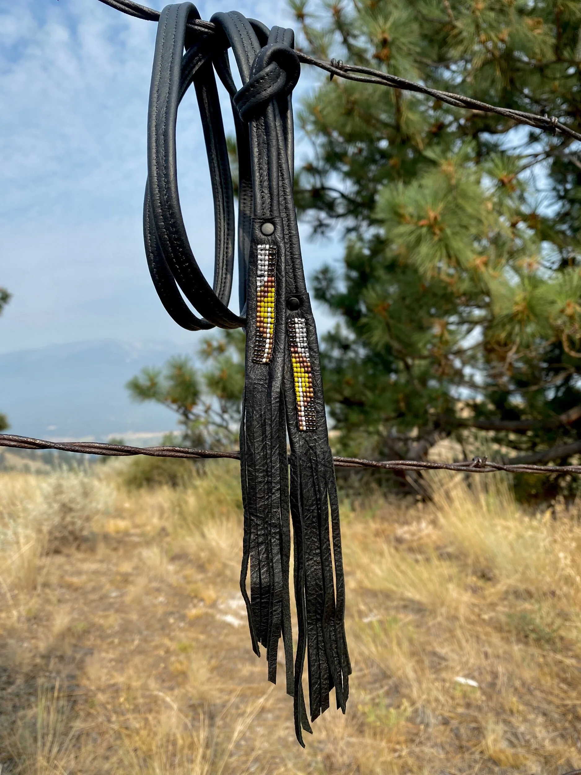 959168D6-9A0D-4A2F-867A-39D14928E898