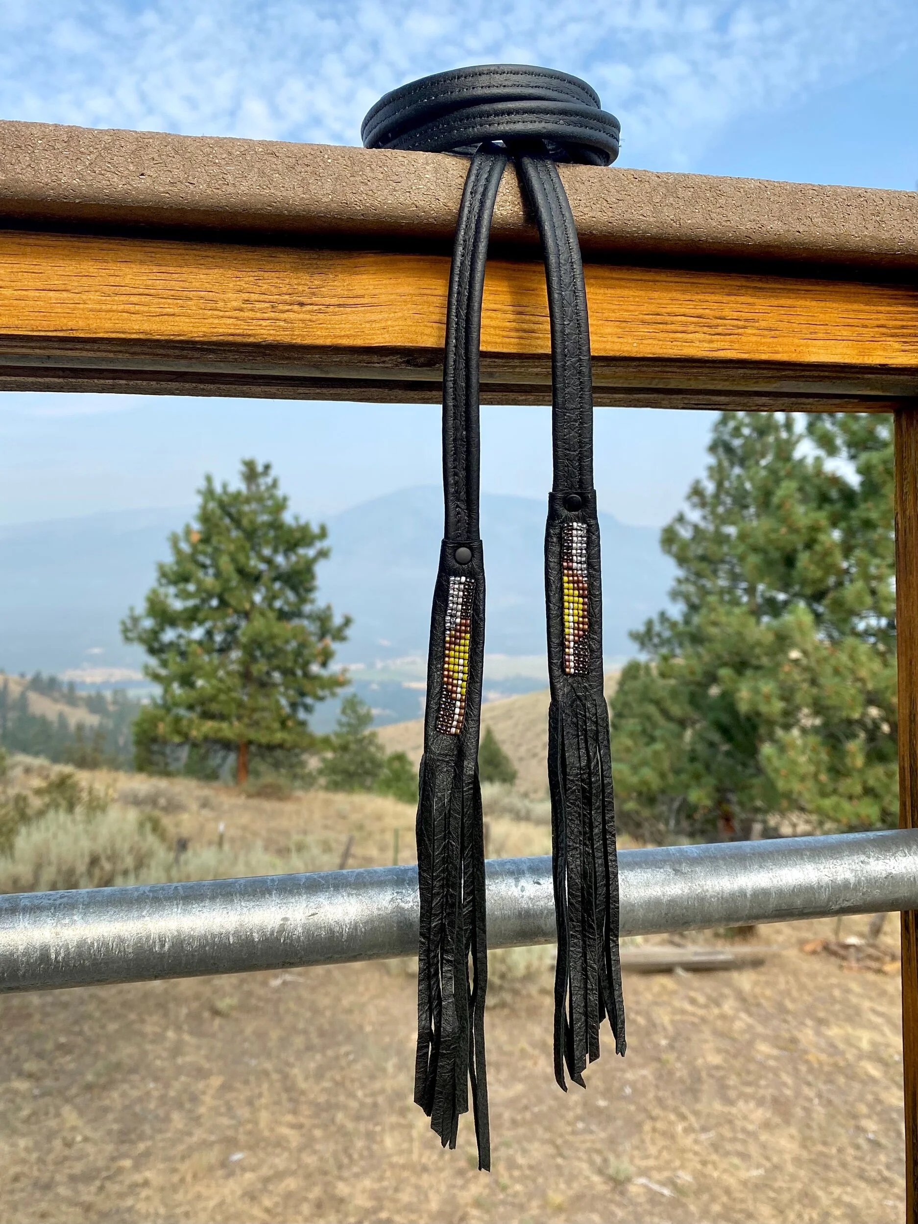 2C4000FE-1967-4367-A097-FCB0B5D22FC0