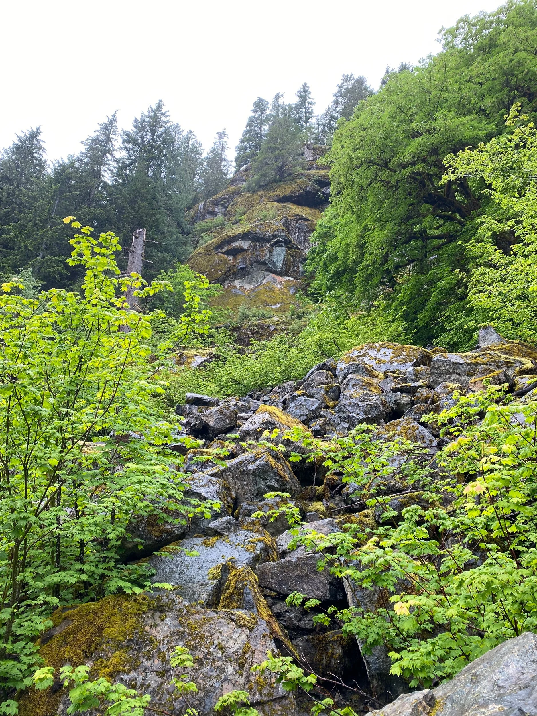 8D944A0C-3A00-44D2-935E-C2EA3438325E