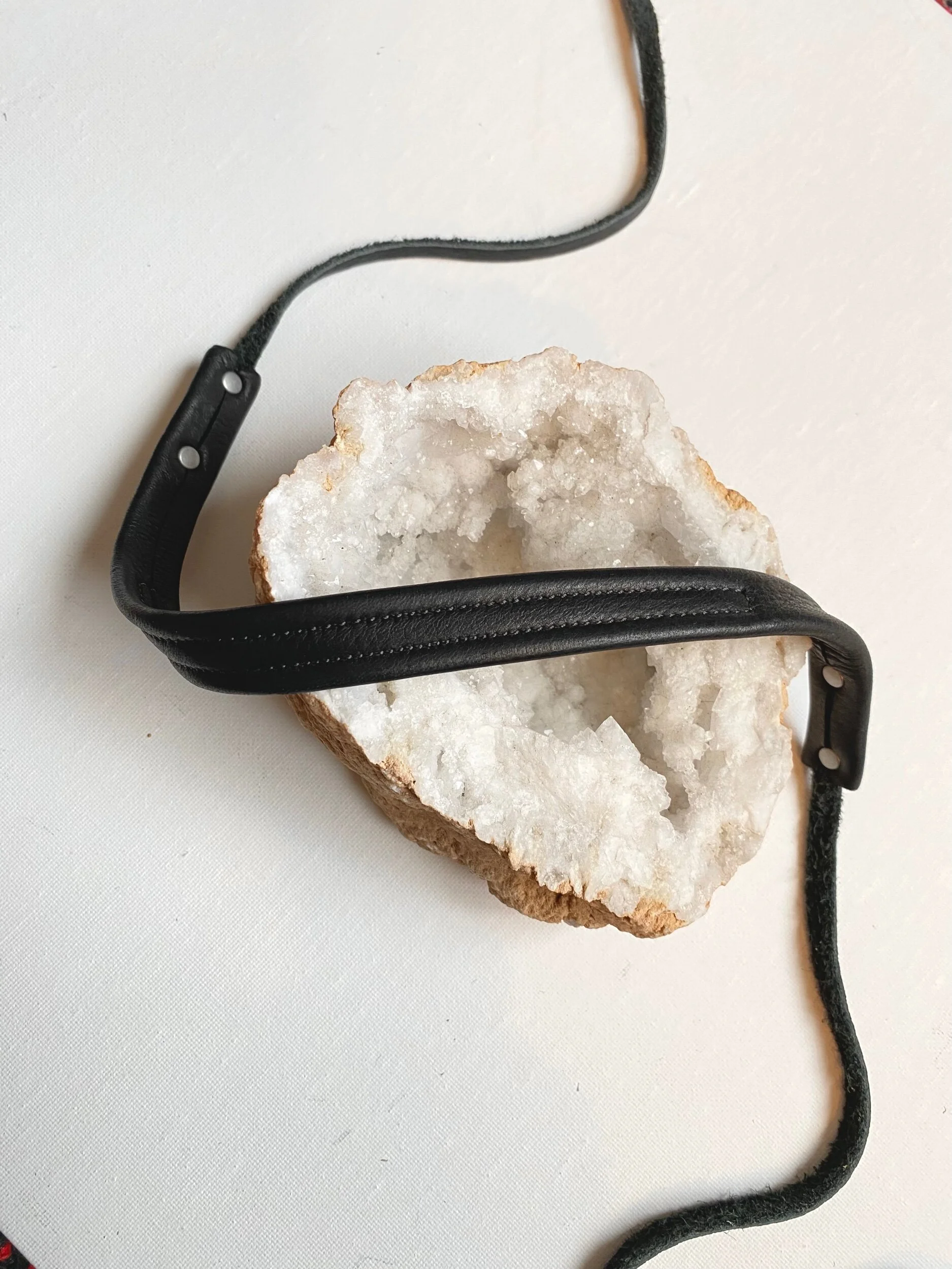 BA1A60F0-1BF4-4F60-83F9-C59C5DF71938