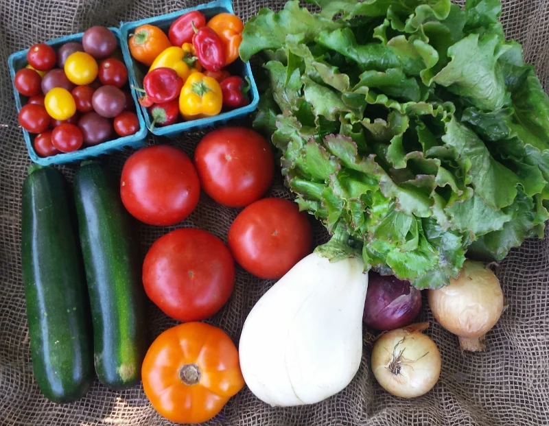 20160827_105443-1 (800x621).jpg