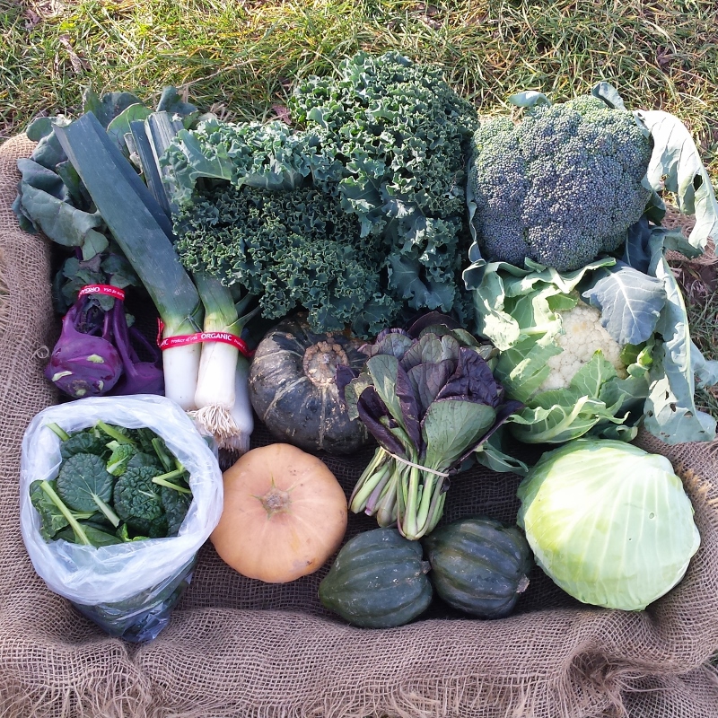 Sample Fall CSA Share