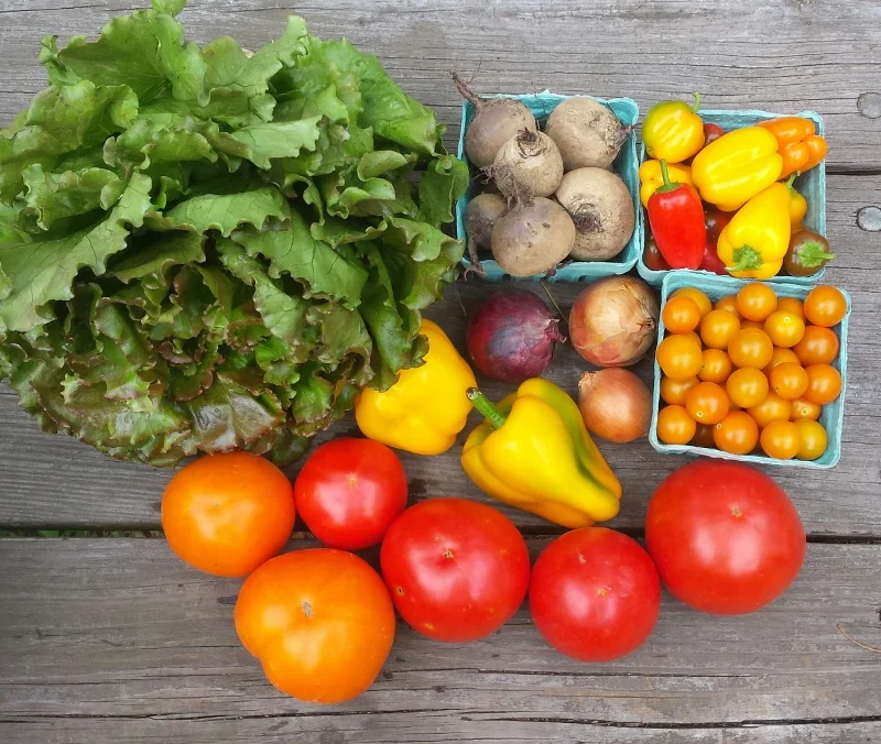 CSA — Natural Earth Organic Farms
