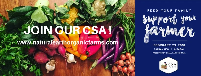 2.23.18 FB header CSADAY.jpg