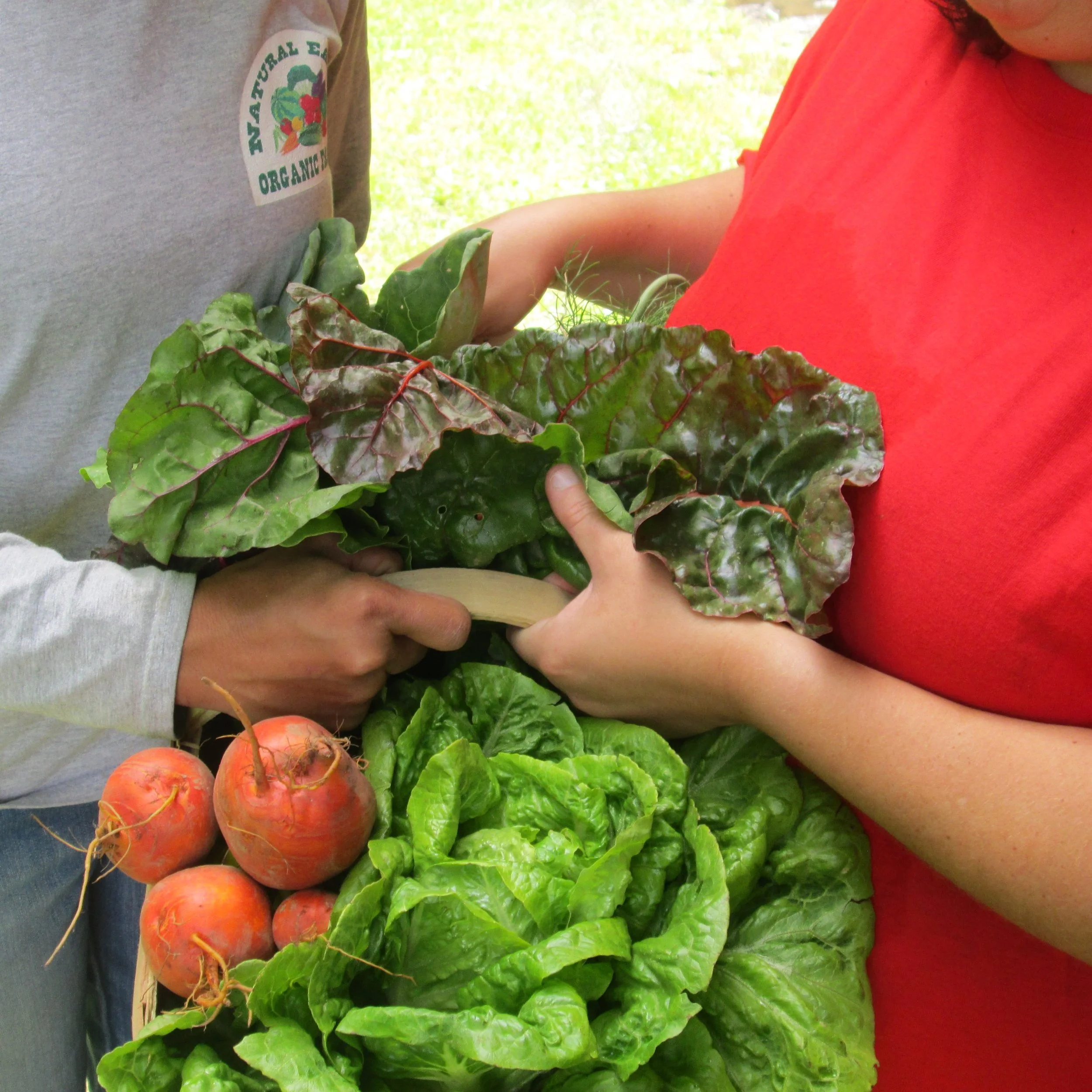 Natural Earth Organic Farms