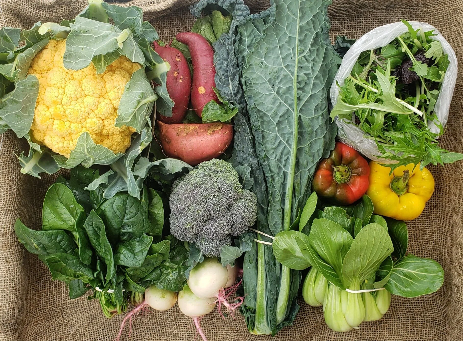 Natural Earth Organic Farms