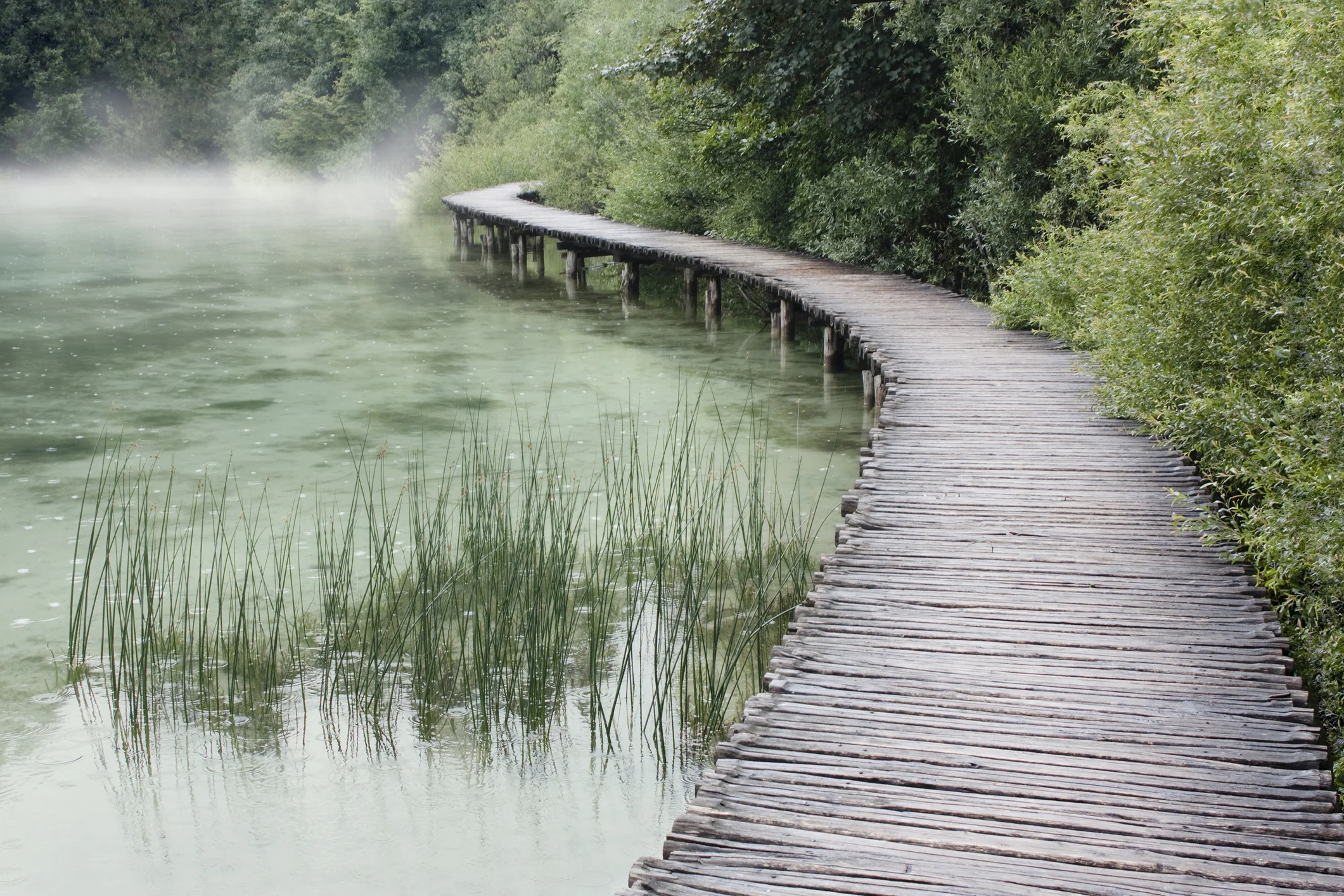 Photo by SrdjanPav/iStock / Getty Images