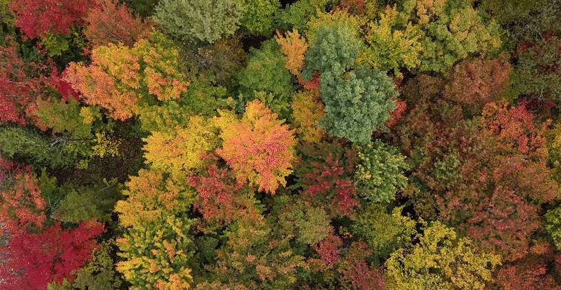 media-header.gif