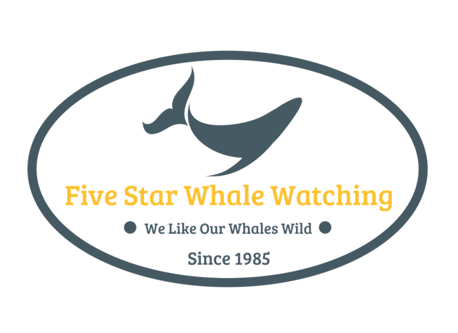 Five Star Whale Watching.png