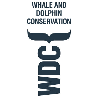 Whale and Dolphin Conservation.jpg