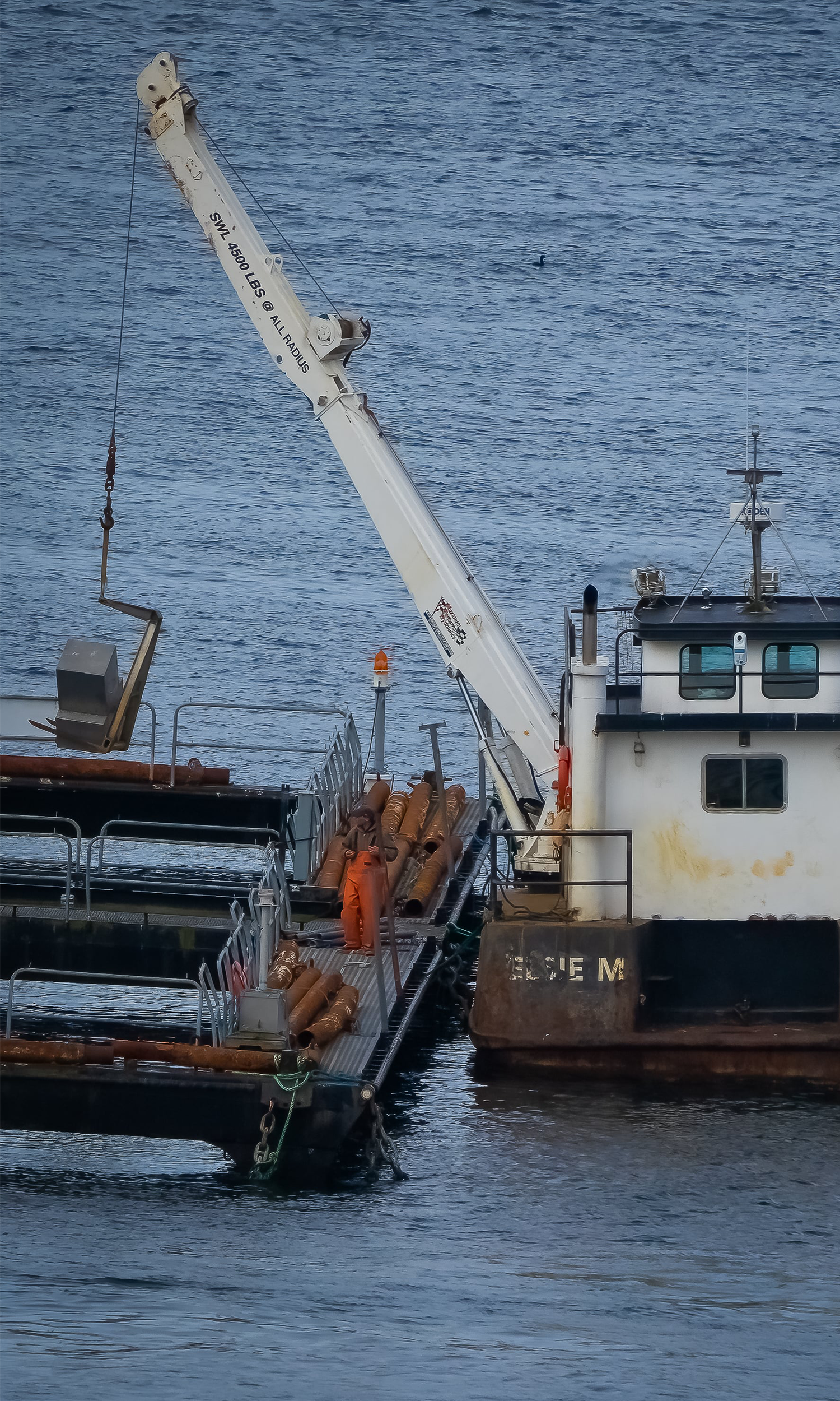 Net Pen Banner Mobile2.png