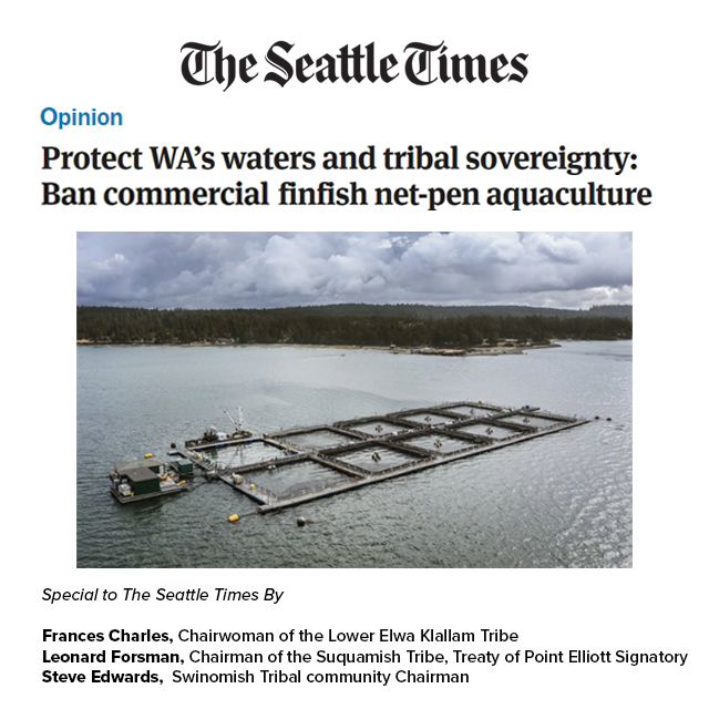 Seattle Times Instagram Post.png