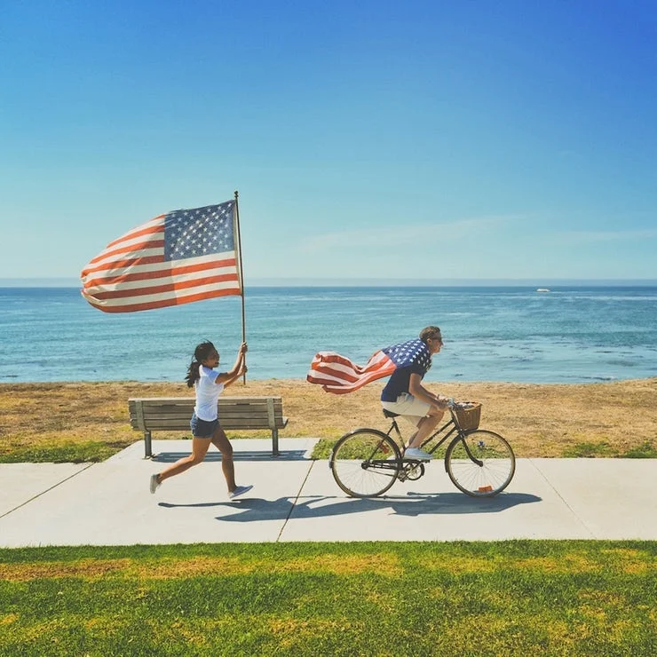 voter-flags on beach.jpeg