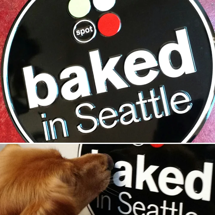baked_sophie.jpg