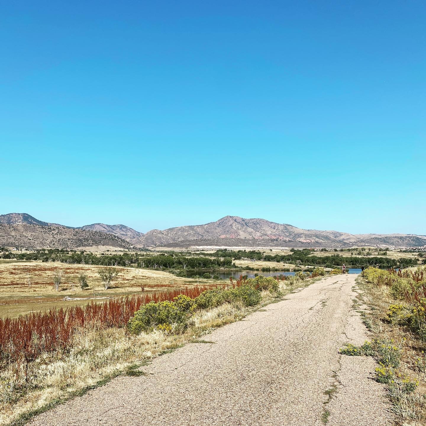 Rode out to the foothills with @richard_larue this morning. We saw so many prairie dogs and encountered multiple coyote warning signs. Richard found a long hill he hated and I blew a tire (but fixed it with my brand new @rei patch kit, a perfectly ti