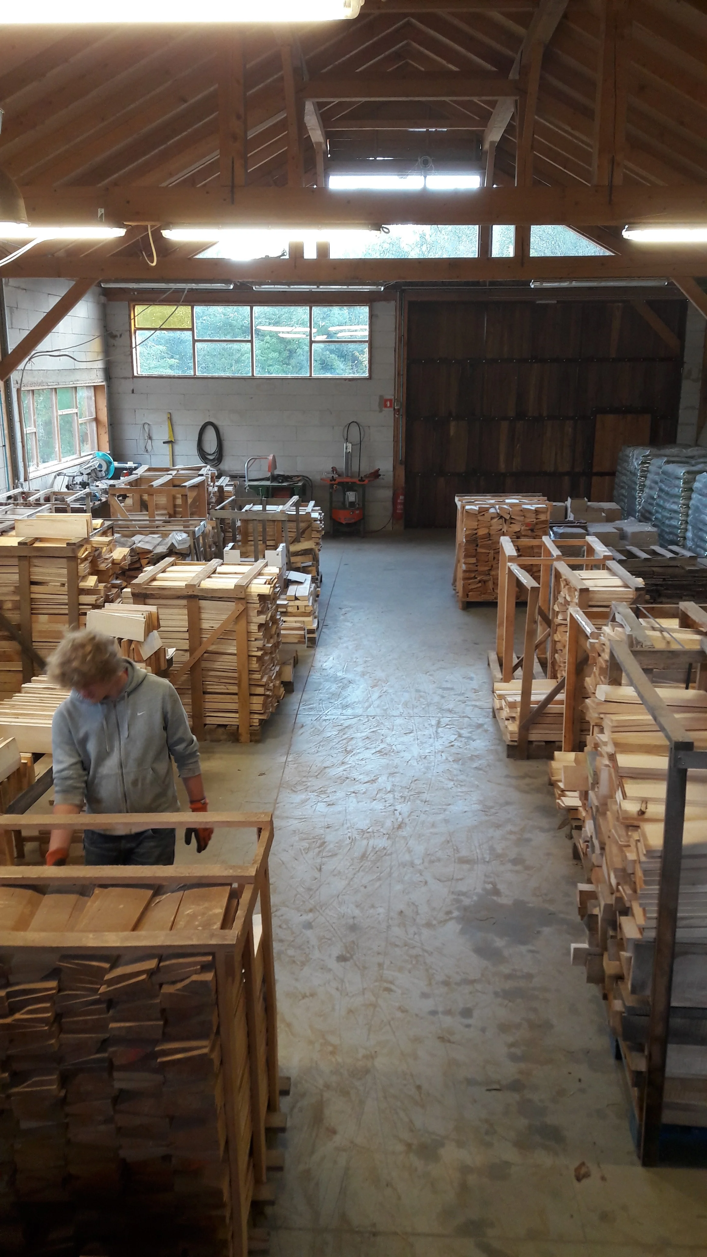 Wood trip Slovenia — Steven Den Toom Luthier