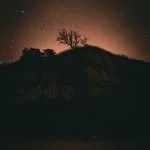 Nocturne Reading Series