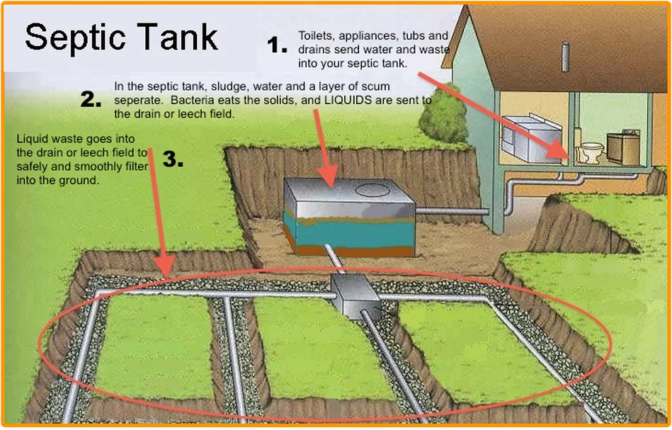 septic-drain-field p2.jpg
