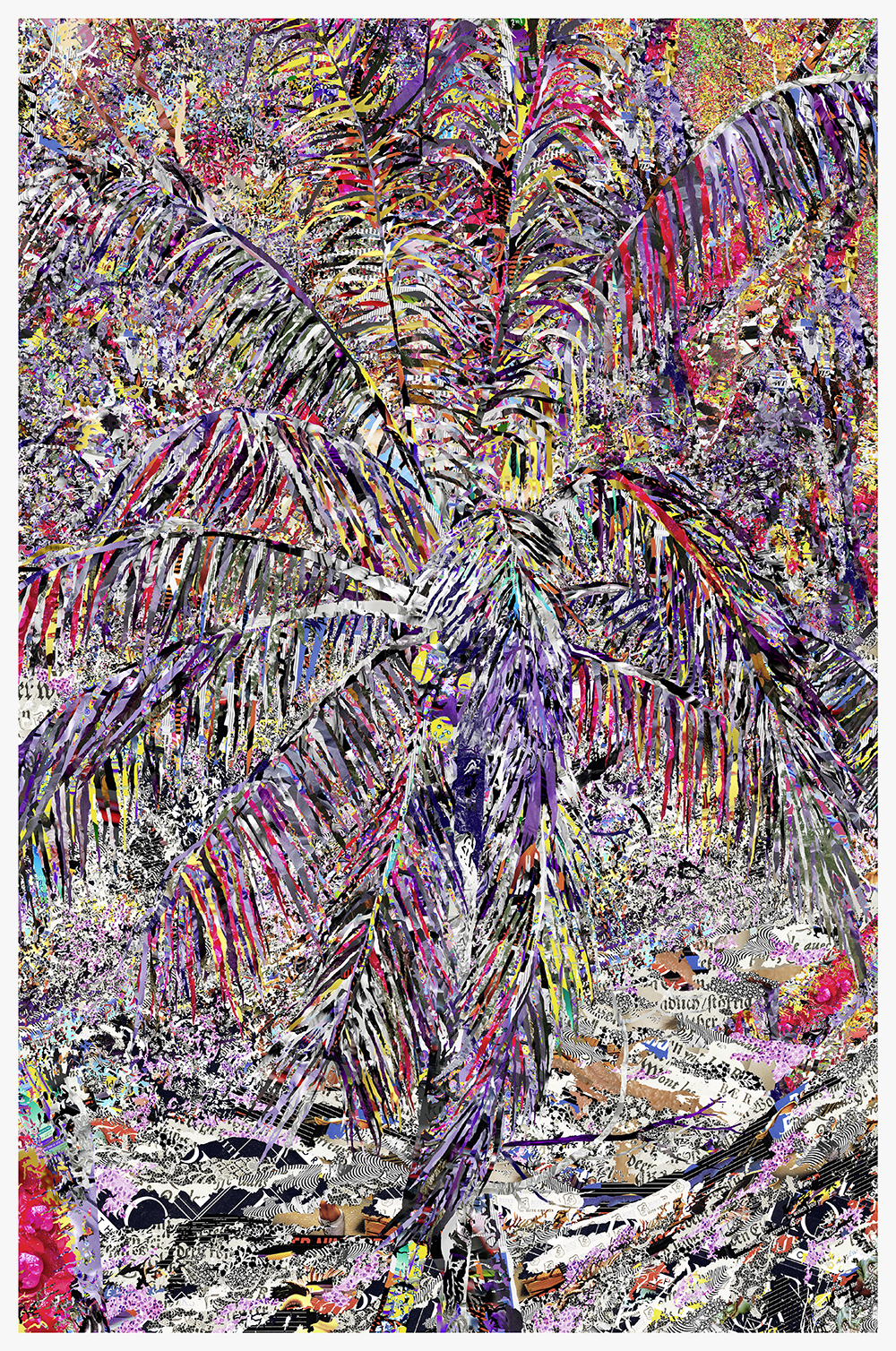 Case Simmons, Simmons & Burke, Tropical Passion, Dutchmasters, Kohn Gallery, Pigment Print, Digital Collage, Digital Art, Photoshop Collage, Contemporary Collage, Photoshop Actions, Case Simmons Art, Collage Fine Art, Digital Landscape