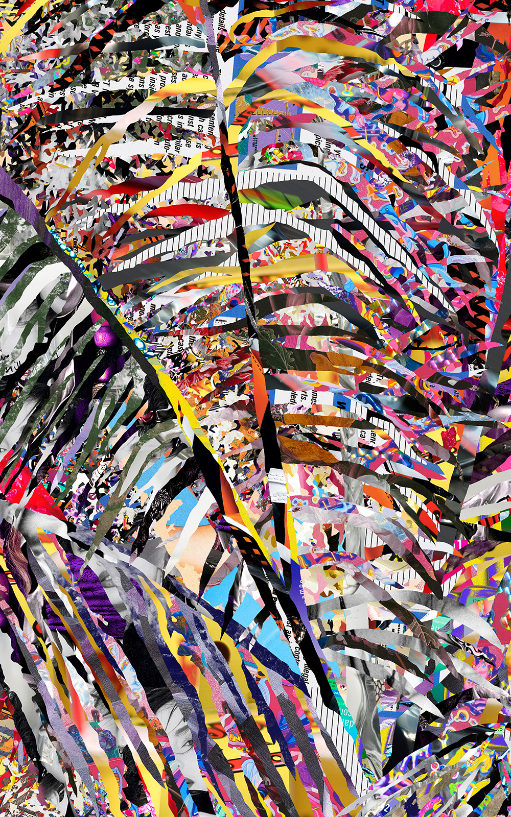 Case Simmons, Simmons & Burke, Tropical Passion, Dutchmasters, Kohn Gallery, Pigment Print, Digital Collage, Digital Art, Photoshop Collage, Contemporary Collage, Photoshop Actions, Case Simmons Art, Collage Fine Art, Digital Landscape