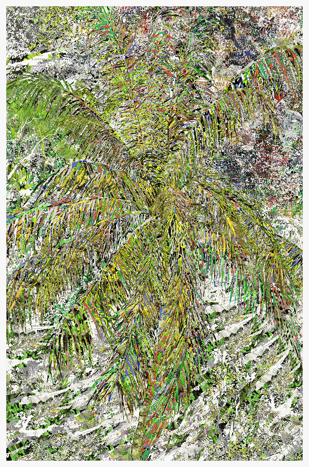 Case Simmons, Simmons & Burke, Sour Apple, Dutchmasters, Kohn Gallery, Pigment Print, Digital Collage, Digital Art, Photoshop Collage, Contemporary Collage, Photoshop Actions, Case Simmons Art, Collage Fine Art, Digital Landscape