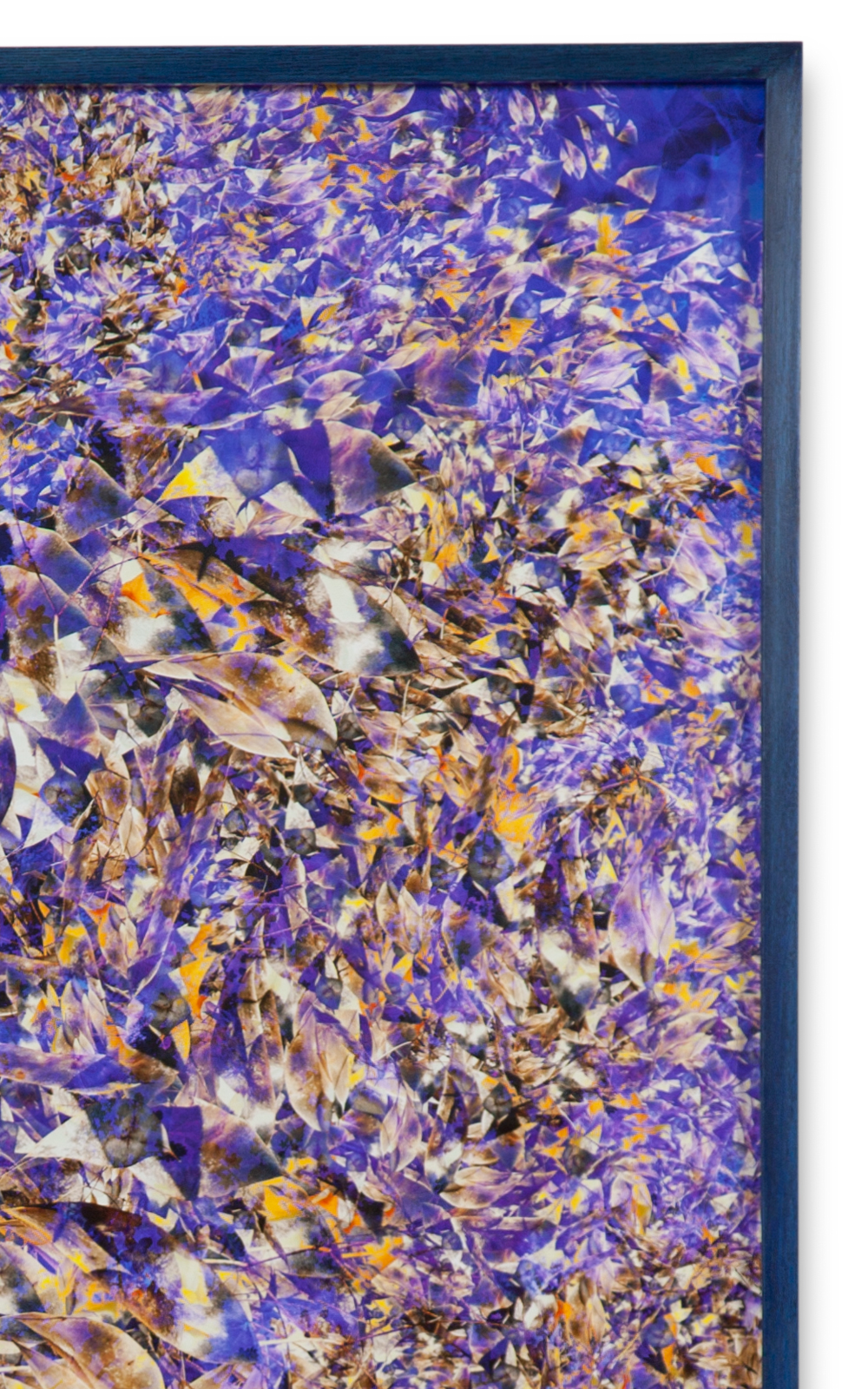 Case Simmons, Simmons & Burke, Perennial Honesty, Still Lives and Common Names, Metallic Print, Digital Collage, Digital Art, Photoshop Collage, Contemporary Collage, Case Simmons Art, Collage Fine Art, Abstract Digital Collage, Kohn Gallery