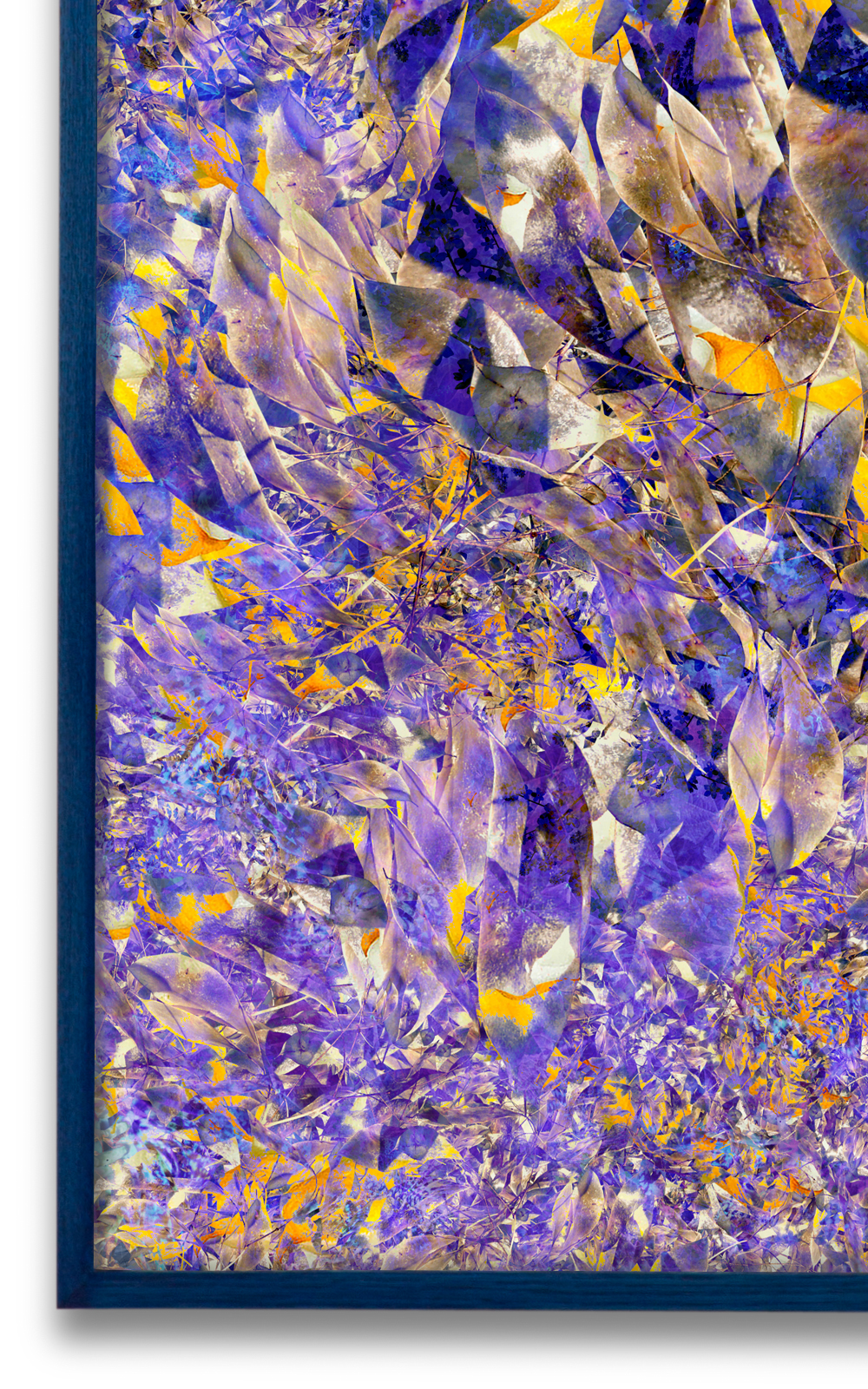 Case Simmons, Simmons & Burke, Perennial Honesty, Still Lives and Common Names, Metallic Print, Digital Collage, Digital Art, Photoshop Collage, Contemporary Collage, Case Simmons Art, Collage Fine Art, Abstract Digital Collage, Kohn Gallery