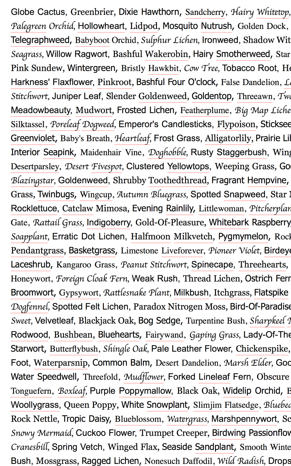 Case Simmons, Simmons & Burke, Common Names Common Fonts, Still Lives and Common Names, Text Art, Digital Collage, Digital Art, Photoshop Collage, Contemporary Collage, Case Simmons Art, Collage Fine Art, Word Art, Kohn Gallery