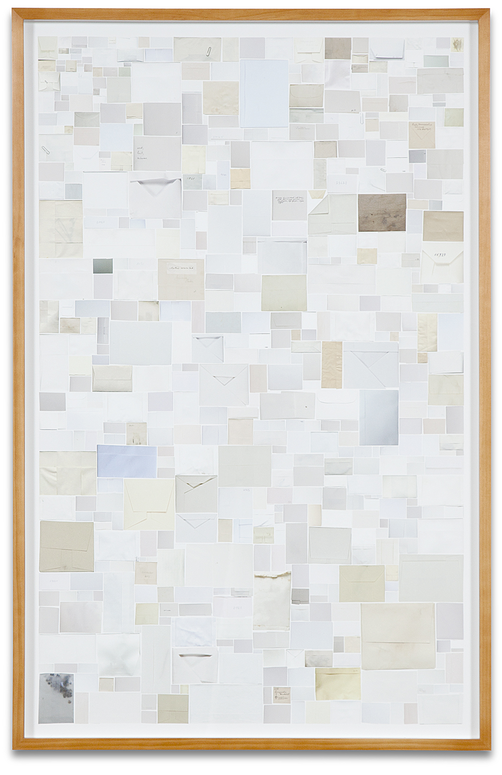 Case Simmons, Simmons & Burke, Enveloped Specimens #1, Still Lives and Common Names, Digital Collage, Digital Art, Photoshop Collage, Contemporary Collage, Case Simmons Art, Collage Fine Art, Envelope Art, Kohn Gallery