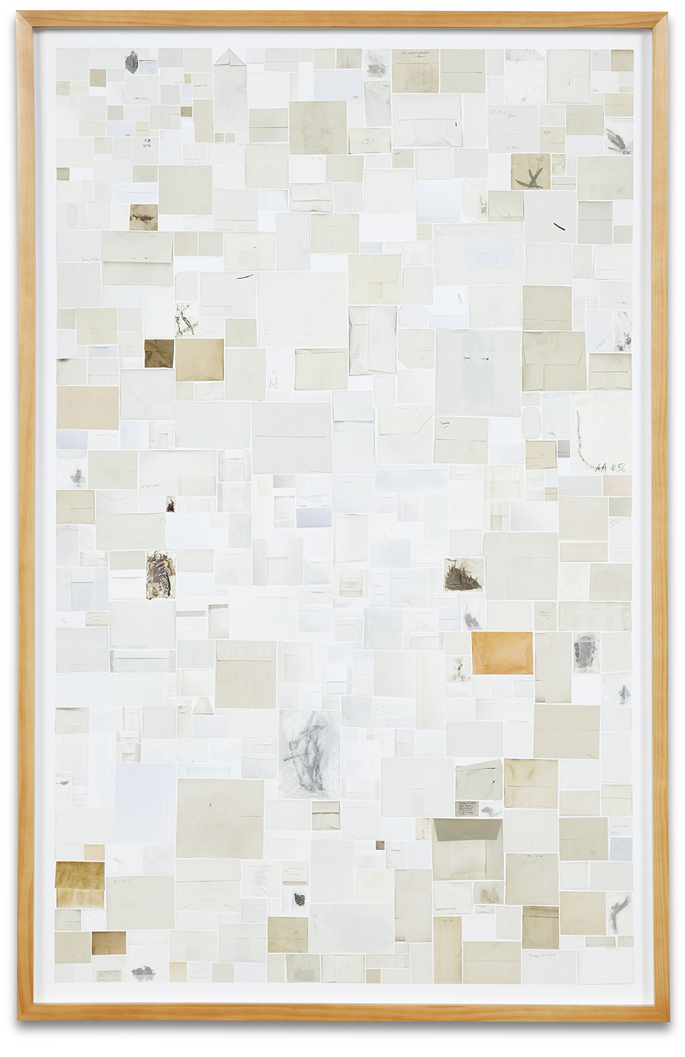 Case Simmons, Simmons & Burke, Enveloped Specimens #2, Still Lives and Common Names, Digital Collage, Digital Art, Photoshop Collage, Contemporary Collage, Case Simmons Art, Collage Fine Art, Envelope Art, Kohn Gallery