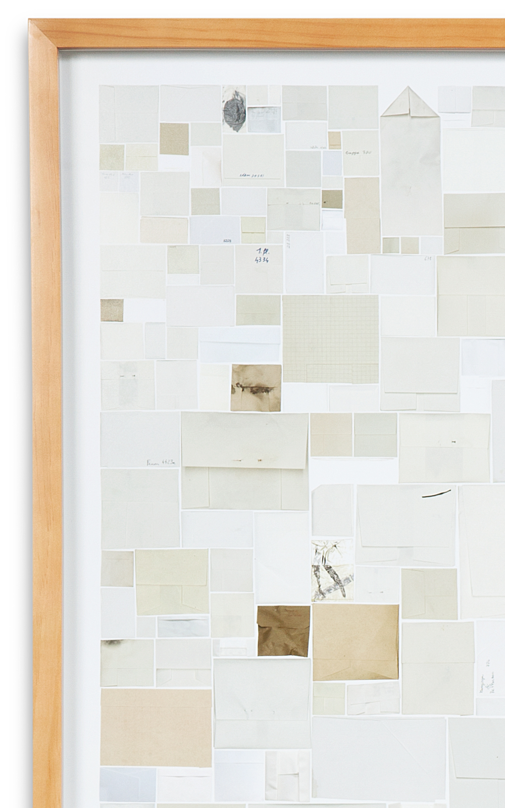 Case Simmons, Simmons & Burke, Enveloped Specimens #2, Still Lives and Common Names, Digital Collage, Digital Art, Photoshop Collage, Contemporary Collage, Case Simmons Art, Collage Fine Art, Envelope Art, Kohn Gallery