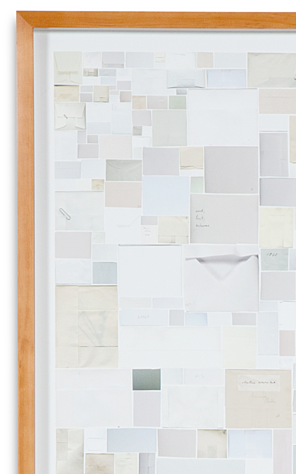 Case Simmons, Simmons & Burke, Enveloped Specimens #1, Still Lives and Common Names, Digital Collage, Digital Art, Photoshop Collage, Contemporary Collage, Case Simmons Art, Collage Fine Art, Envelope Art, Kohn Gallery