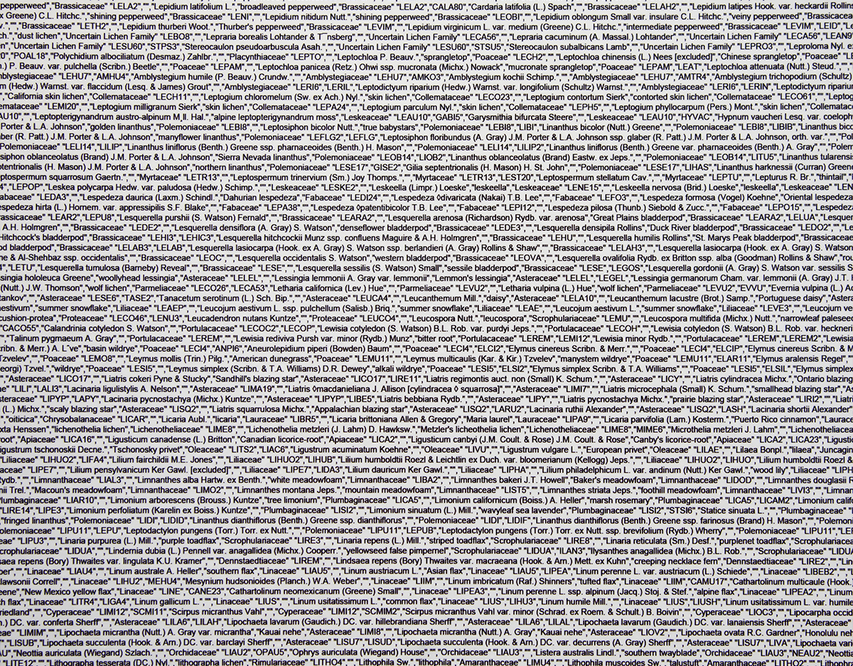 Case Simmons, Simmons & Burke, U.S. Plant Checklist, Still Lives and Common Names, Digital Collage, Digital Art, Photoshop Collage, Contemporary Collage, Case Simmons Art, Collage Fine Art, Word Art, Text Wallpaper, Fine Art Wallpaper, Collection Art, Archive Art, Kohn Gallery