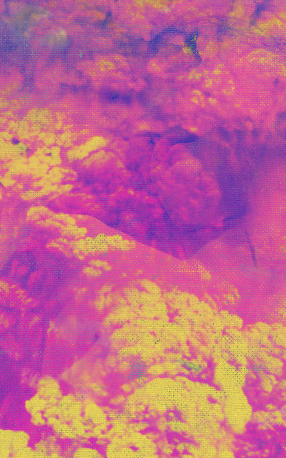 Case Simmons, Simmons & Burke, If Not Winter Composite #6, Kohn Gallery, Composite Image, Lightjet Print, Digital Collage, Digital Art, Photoshop Collage, Contemporary Collage, Case Simmons Art, Case Simmons Artist, Collage Fine Art, Hyper Collage, Digital Painting, Digital Landscape