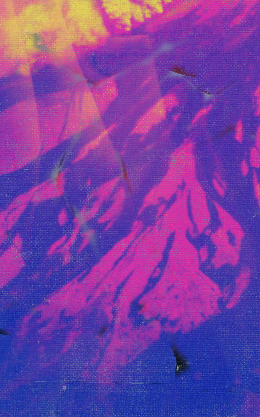Case Simmons, Simmons & Burke, If Not Winter Composite #6, Kohn Gallery, Composite Image, Lightjet Print, Digital Collage, Digital Art, Photoshop Collage, Contemporary Collage, Case Simmons Art, Case Simmons Artist, Collage Fine Art, Hyper Collage, Digital Painting, Digital Landscape