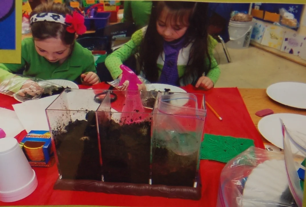 Alverez Worm Project.jpg