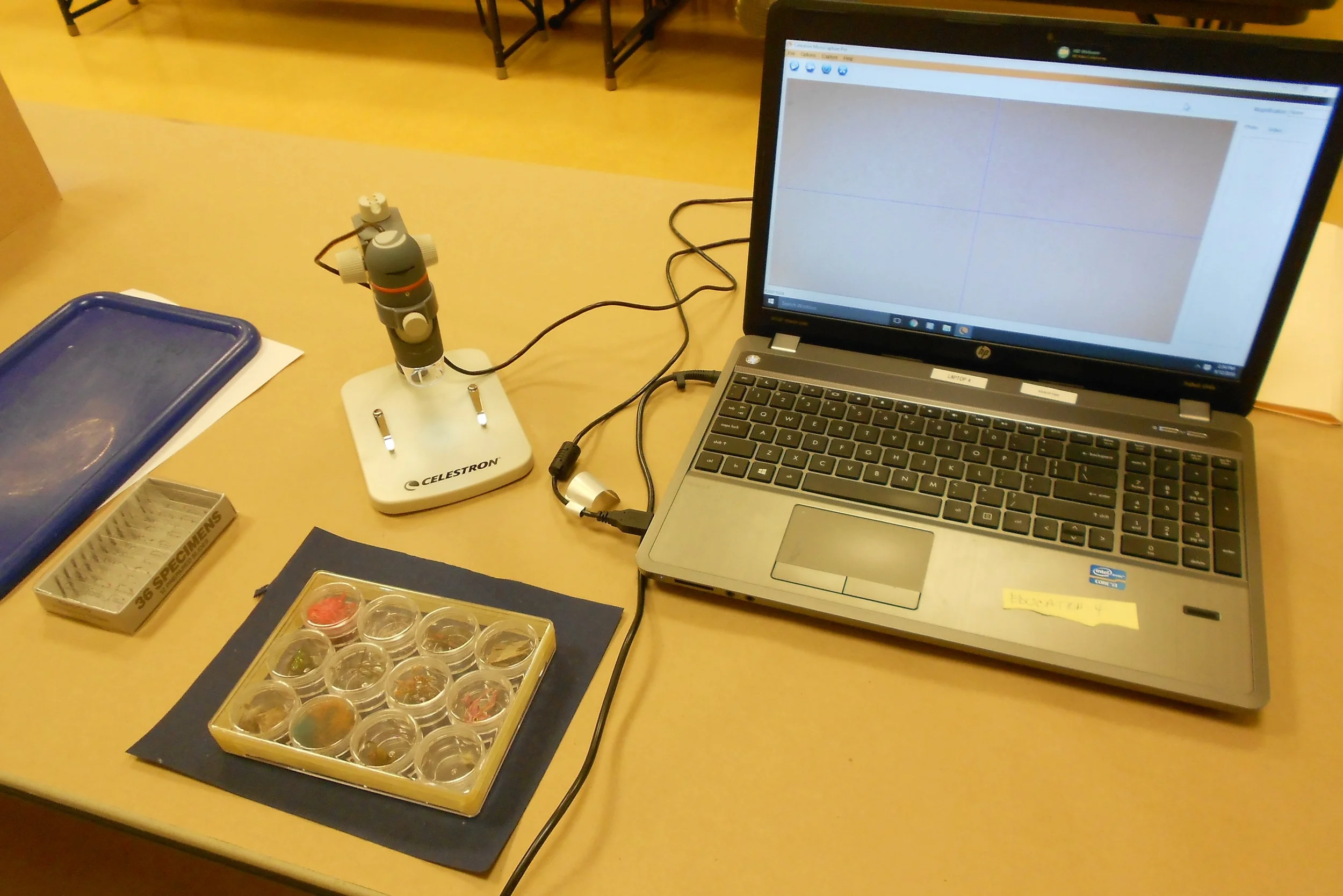DSCN3510.JPG