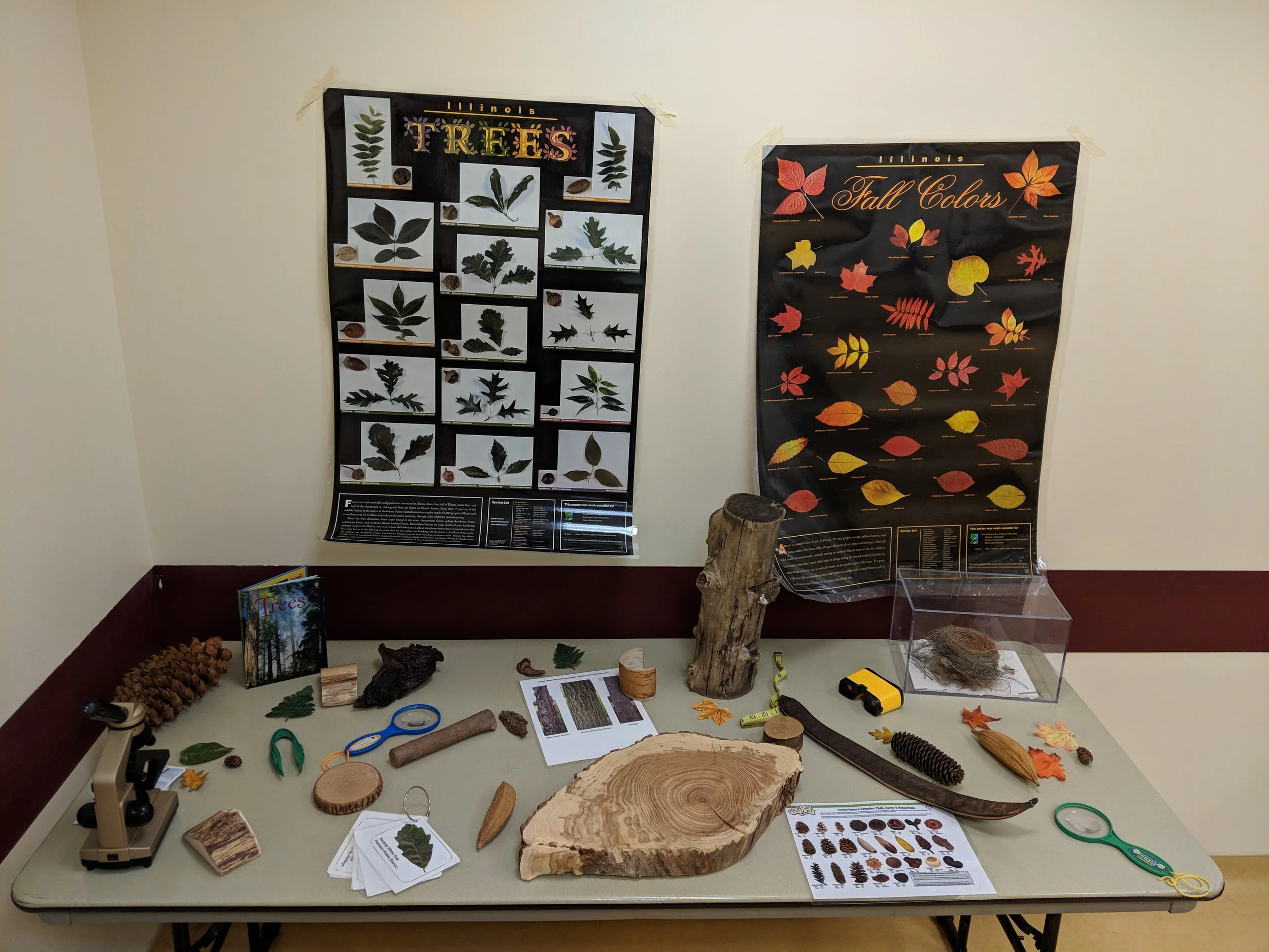MVIMG_20181010_131758.jpg