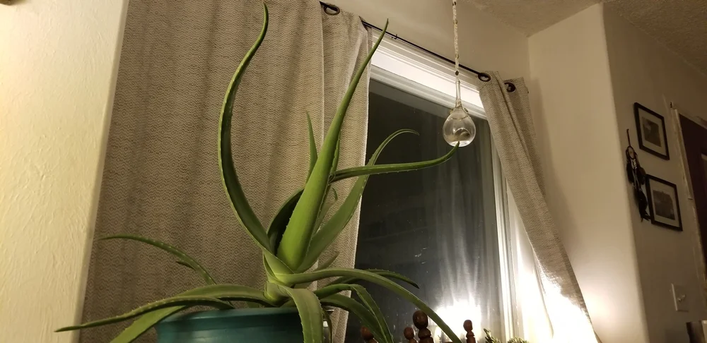 20181024_210539.jpg