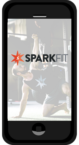 Phone mockup(2).png