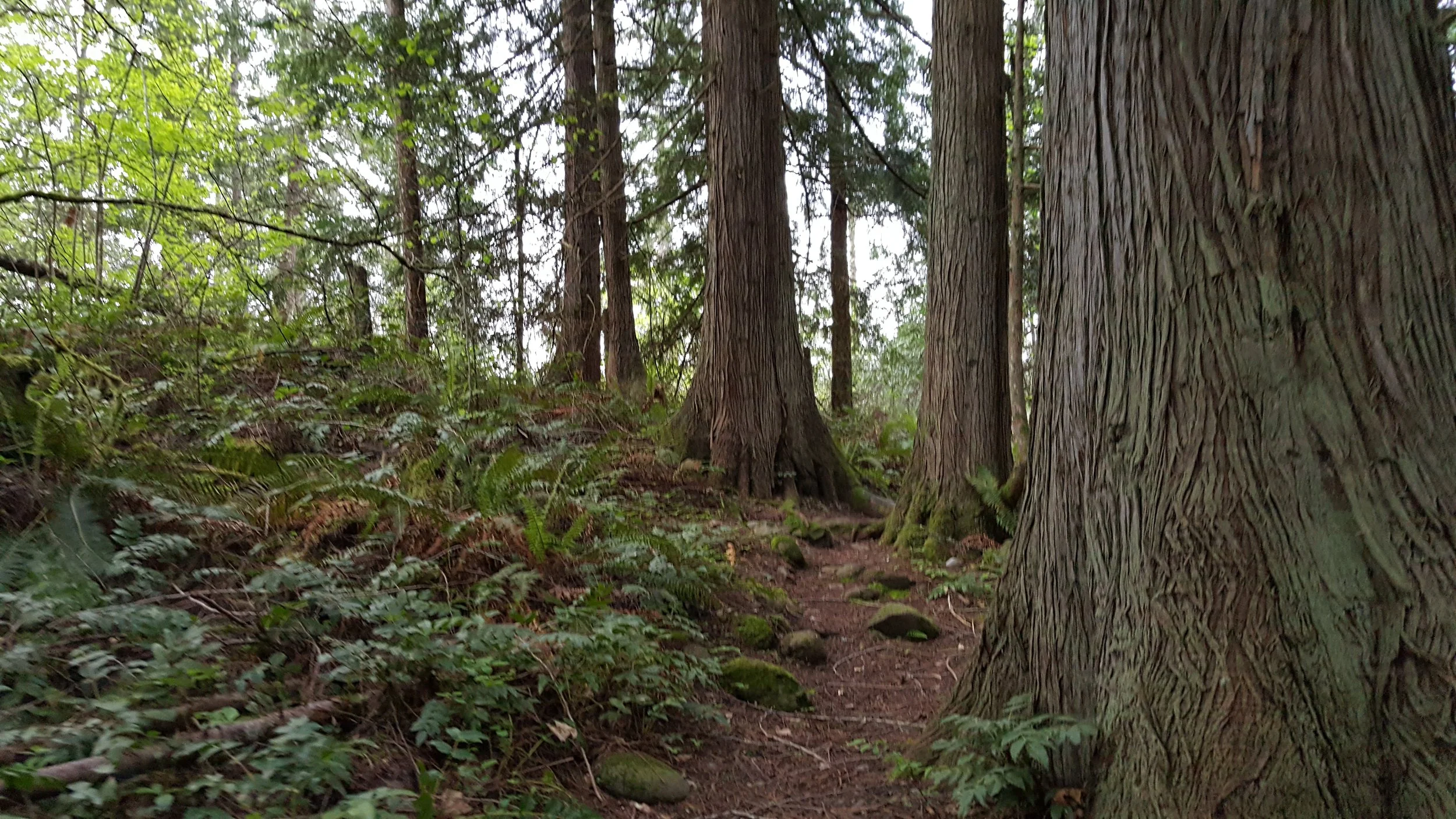 20180505_070511.jpg