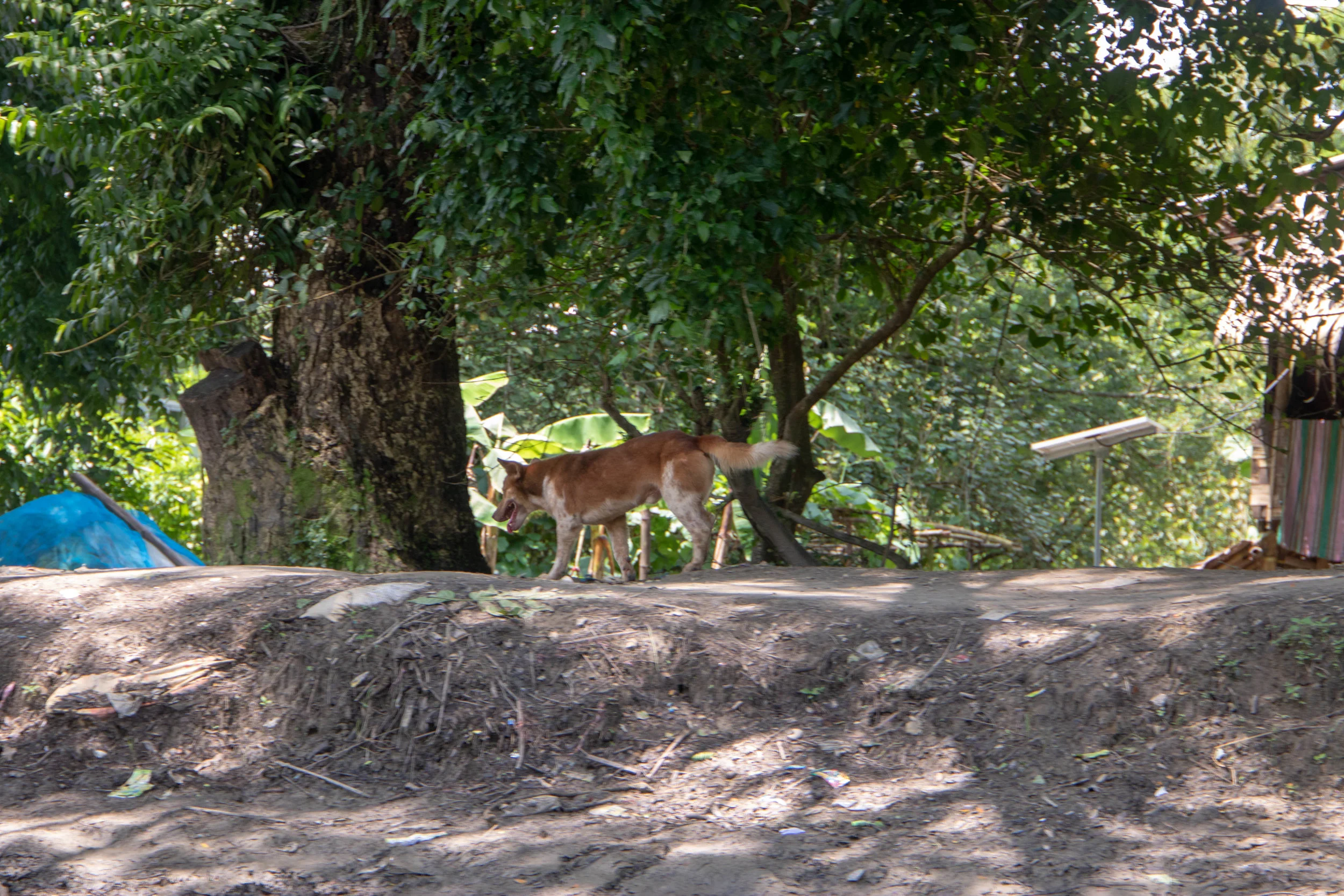 Myanmar-99.jpg