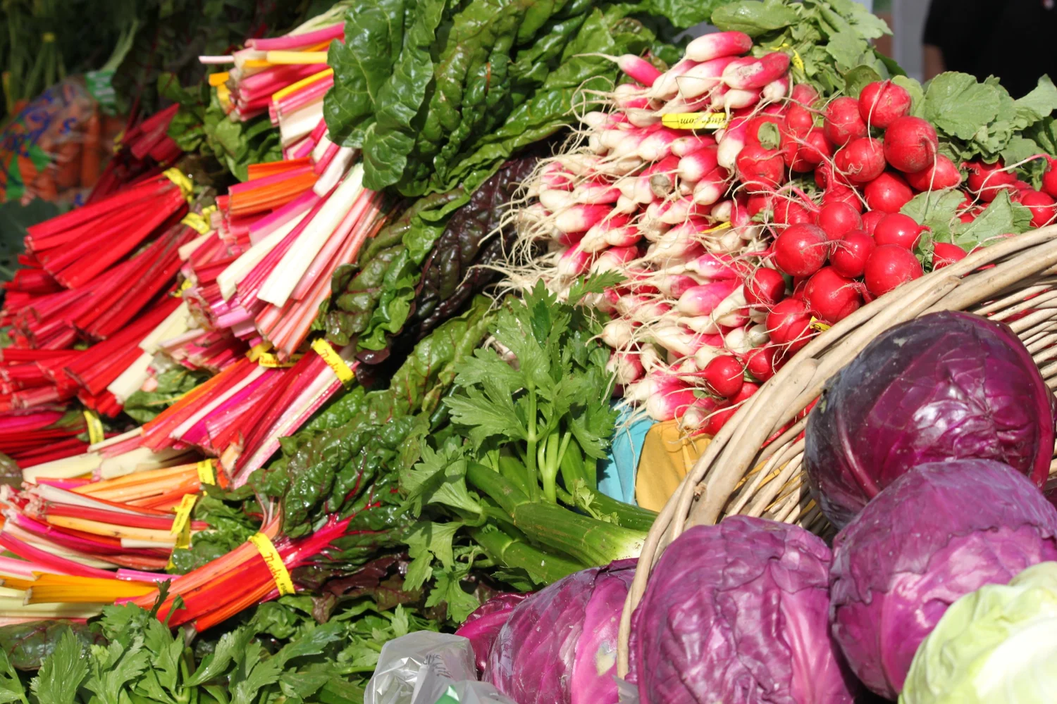 Bellevue Farmers Market Fall Saturday