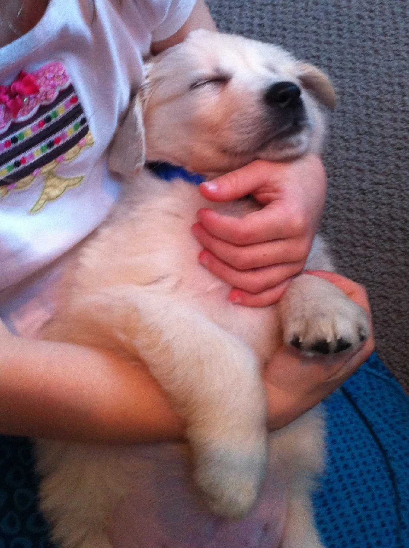 Sleeping Our Way to Health