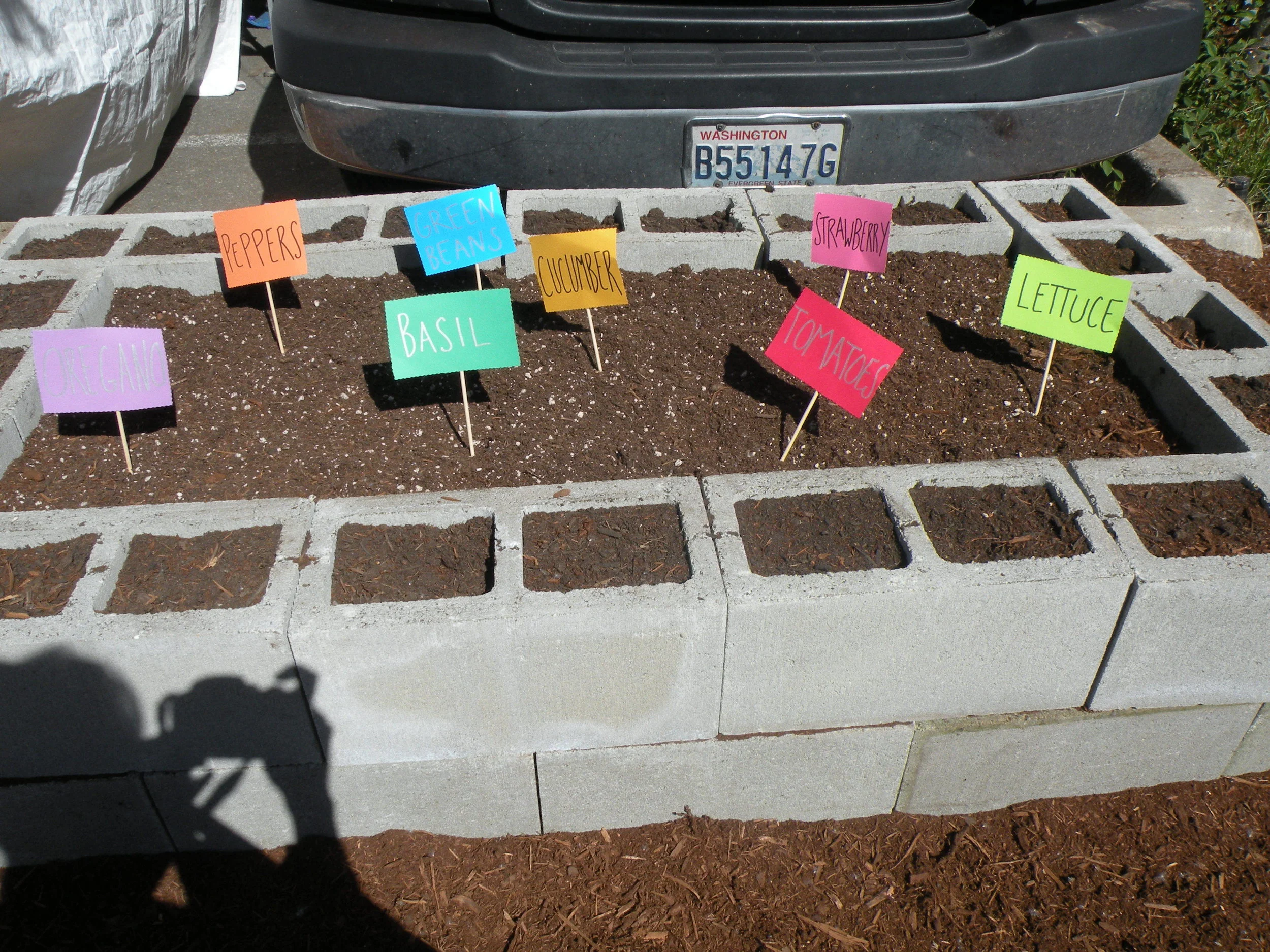 Do You See What I See?