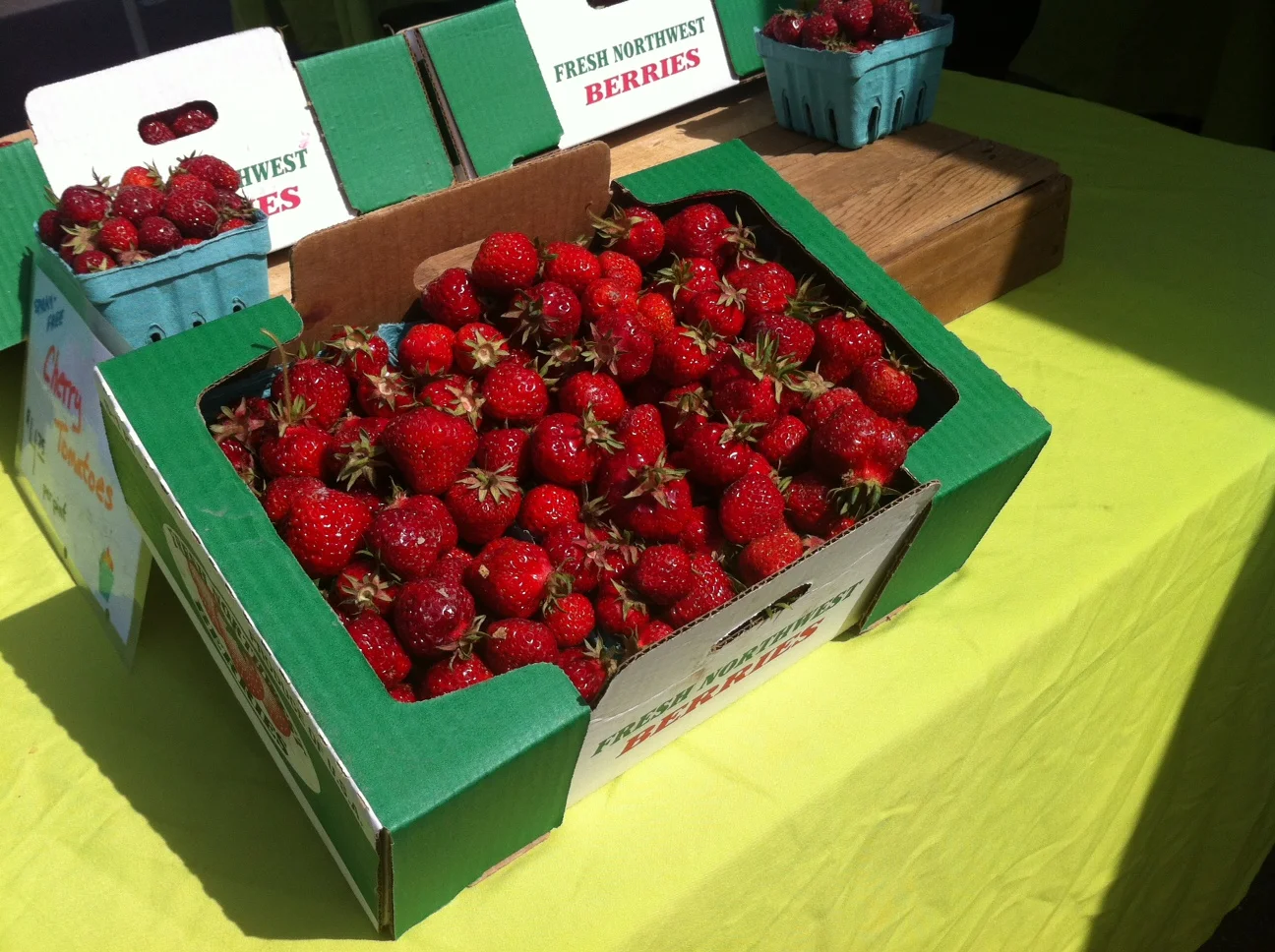 What's In a Label? To Eat or Not to Eat Organic