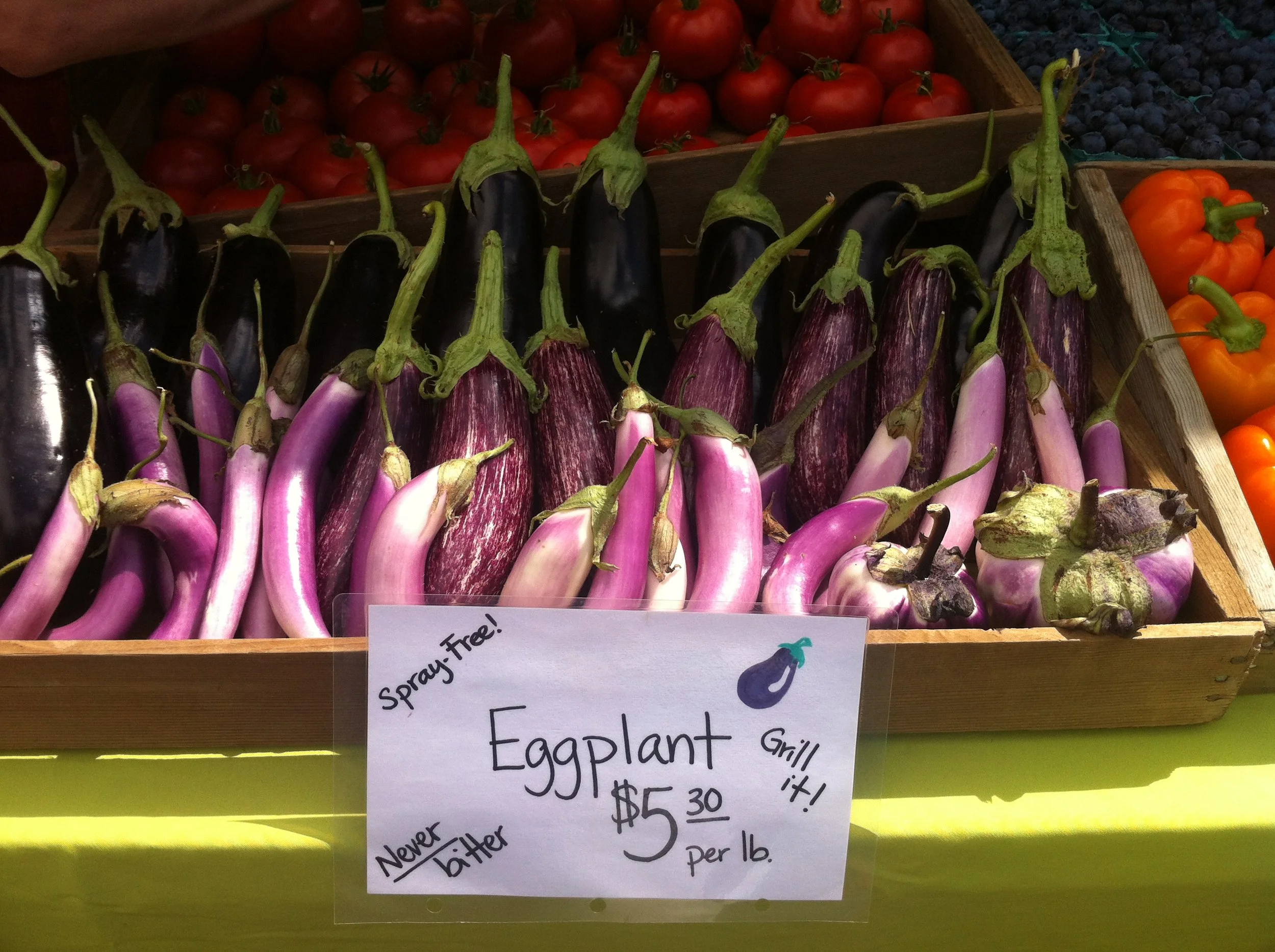 Surviving Your Picky Eater