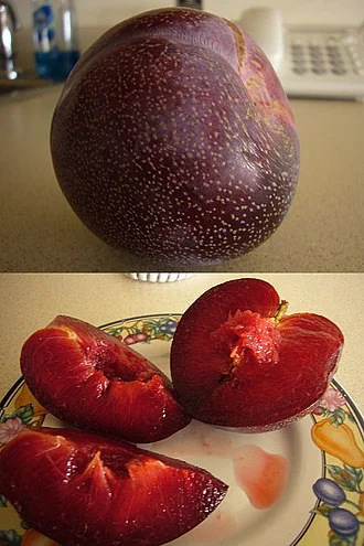 Thanks for the mouth-watering picture, Wikipedia